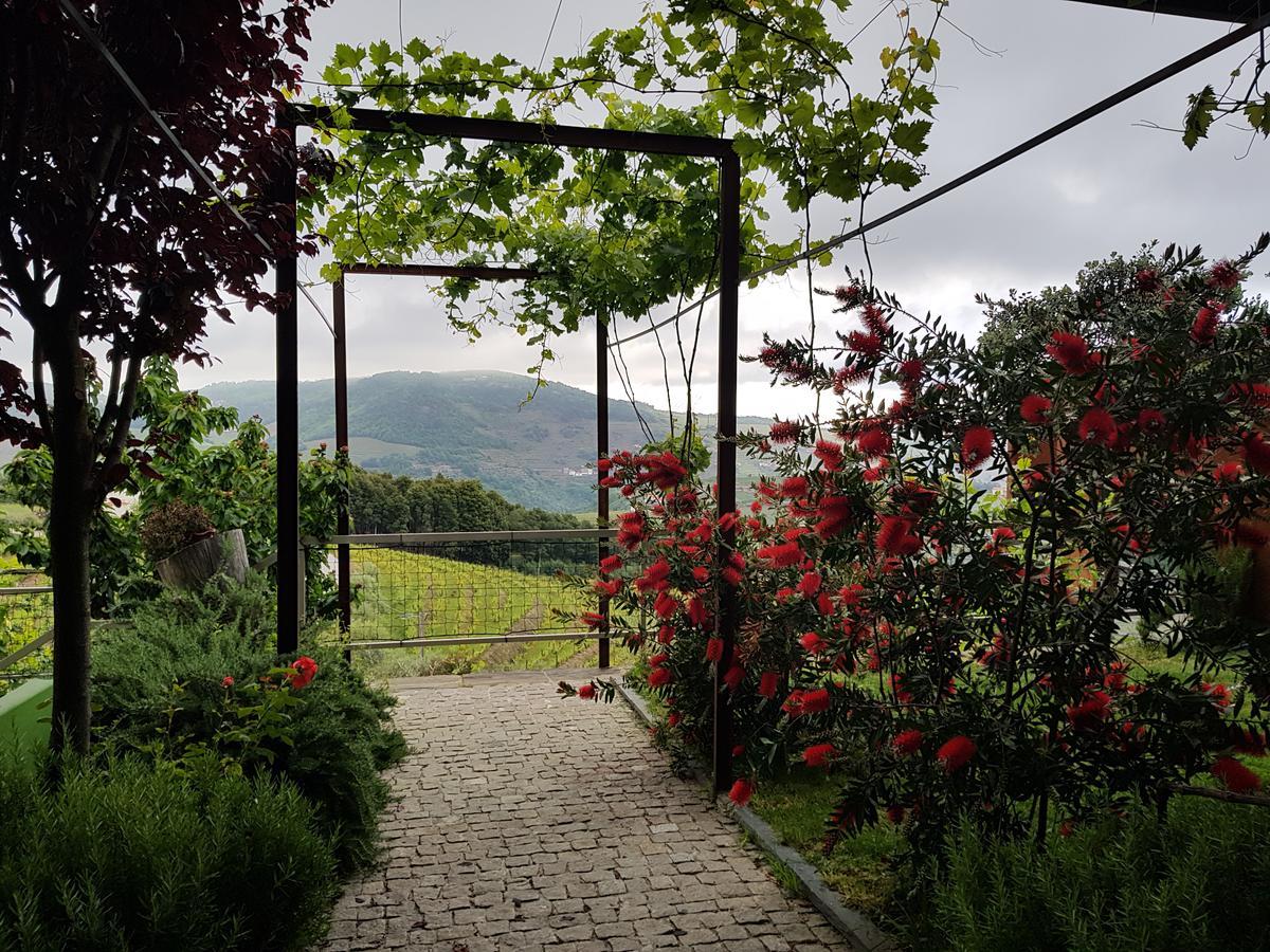 Vila Marim Country Houses เมเซาฟริโอ ภายนอก รูปภาพ
