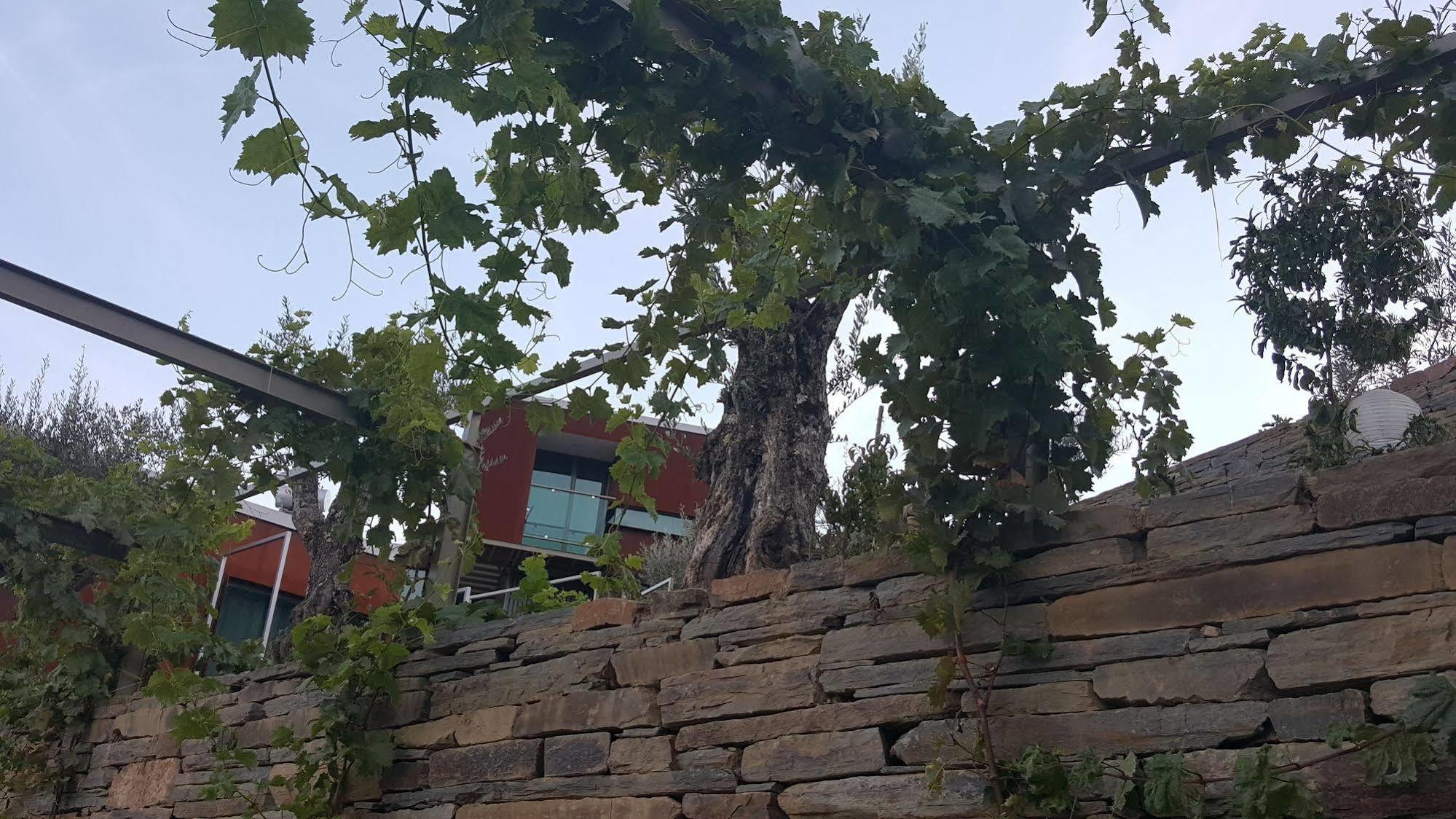 Vila Marim Country Houses เมเซาฟริโอ ภายนอก รูปภาพ